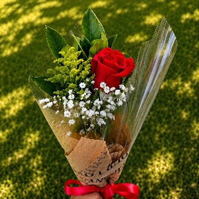 Solitário — uma rosa embalada para presente